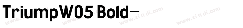 TriumpW05 Bold字体转换